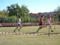 cross_tolentino2018_317