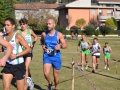 cross_tolentino2018_332